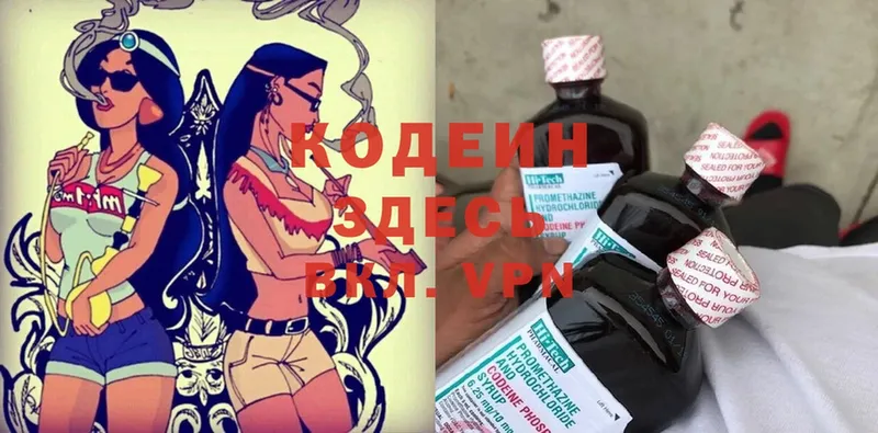 Кодеиновый сироп Lean Purple Drank  купить  сайты  Дрезна 